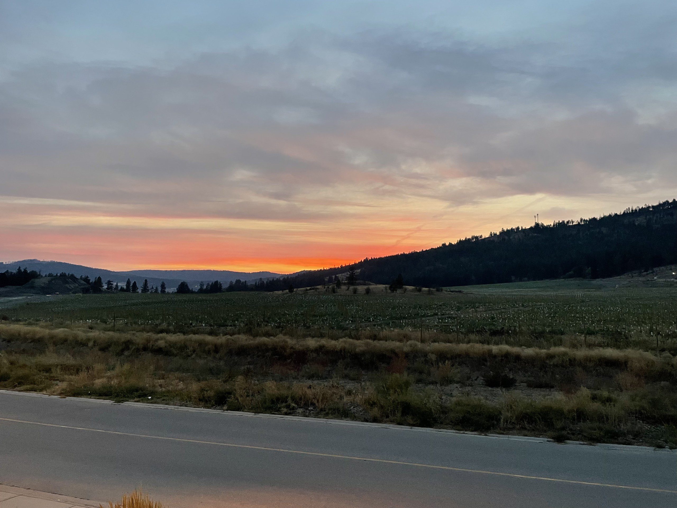 Modern House in West Kelowna with Vineyard Views