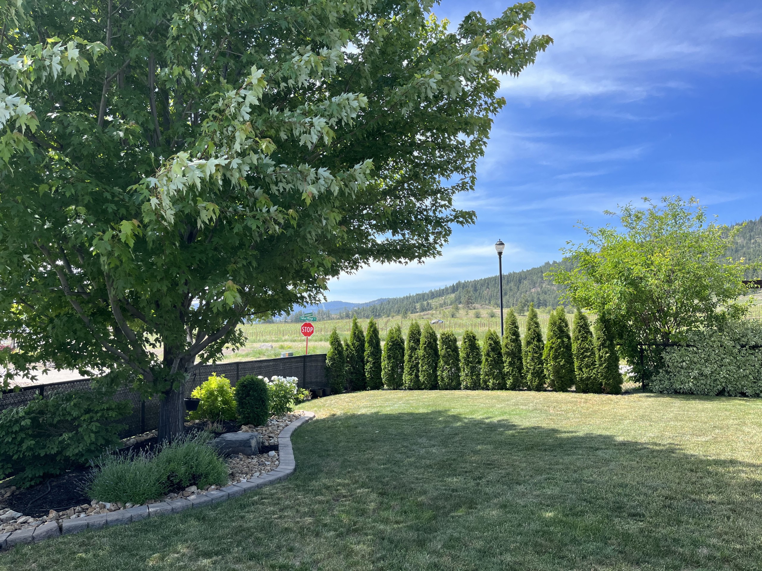 Modern House in West Kelowna with Vineyard Views - Image 14